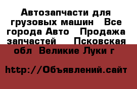 Автозапчасти для грузовых машин - Все города Авто » Продажа запчастей   . Псковская обл.,Великие Луки г.